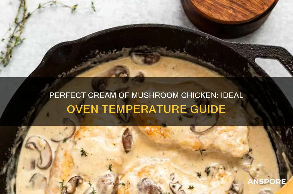 what oven temp to cook cream of mushroom chicken