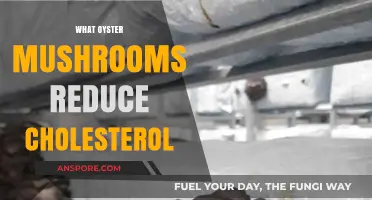 Oyster Mushrooms: Nature's Cholesterol-Busting Superfood