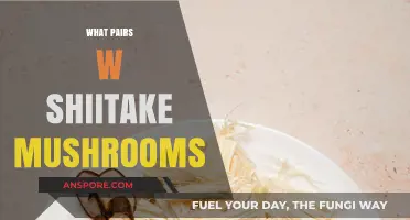 Shiitake Mushroom Partners: Discover the Perfect Flavor Combinations