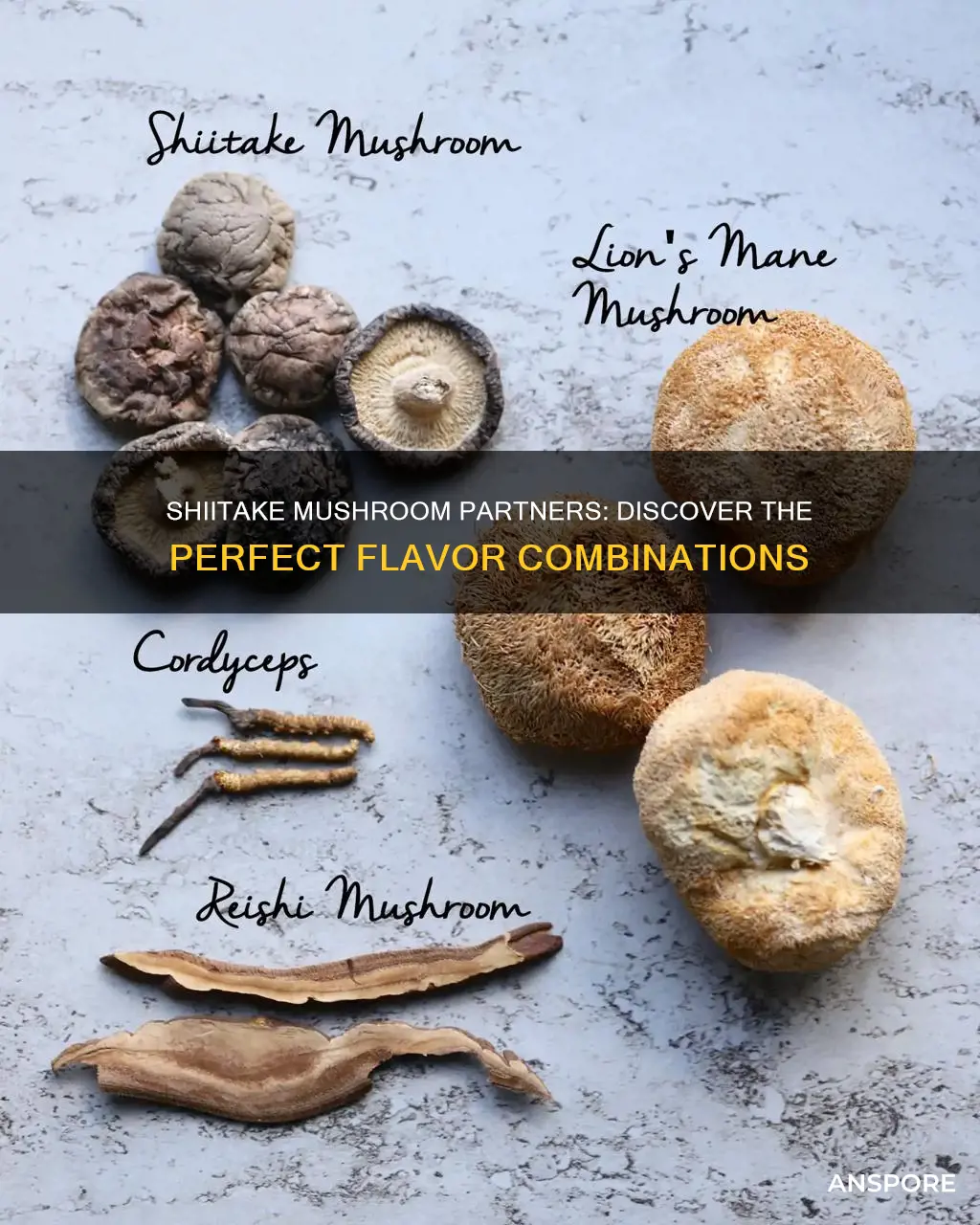 what pairs w shiitake mushrooms