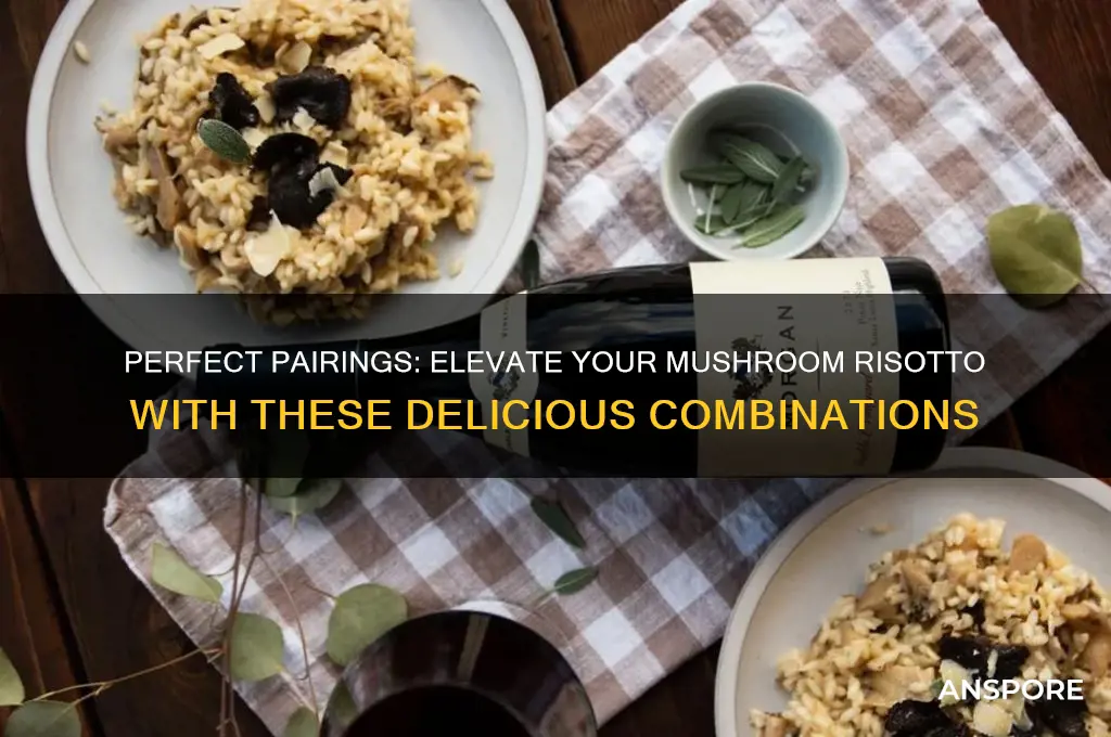 what pairs well with mushroom risotto