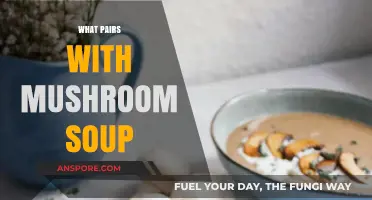 Perfect Pairings: Delicious Sides and Toppings for Mushroom Soup