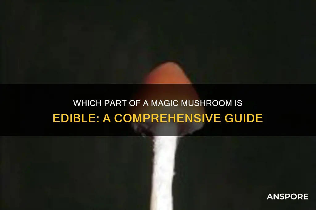what part of a magic mushroom do you eat