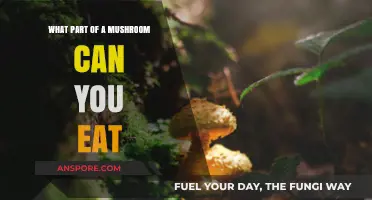 Exploring Edible Mushroom Parts: A Guide to Safe Consumption