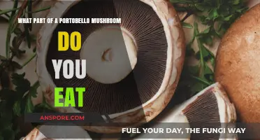 Exploring Portobello Mushrooms: Edible Parts and Delicious Culinary Uses