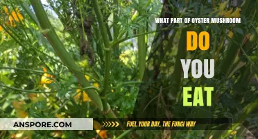 Discover the Edible Parts of Oyster Mushrooms: A Tasty Guide
