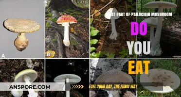 Which Part of Psilocybin Mushrooms is Edible: A Comprehensive Guide
