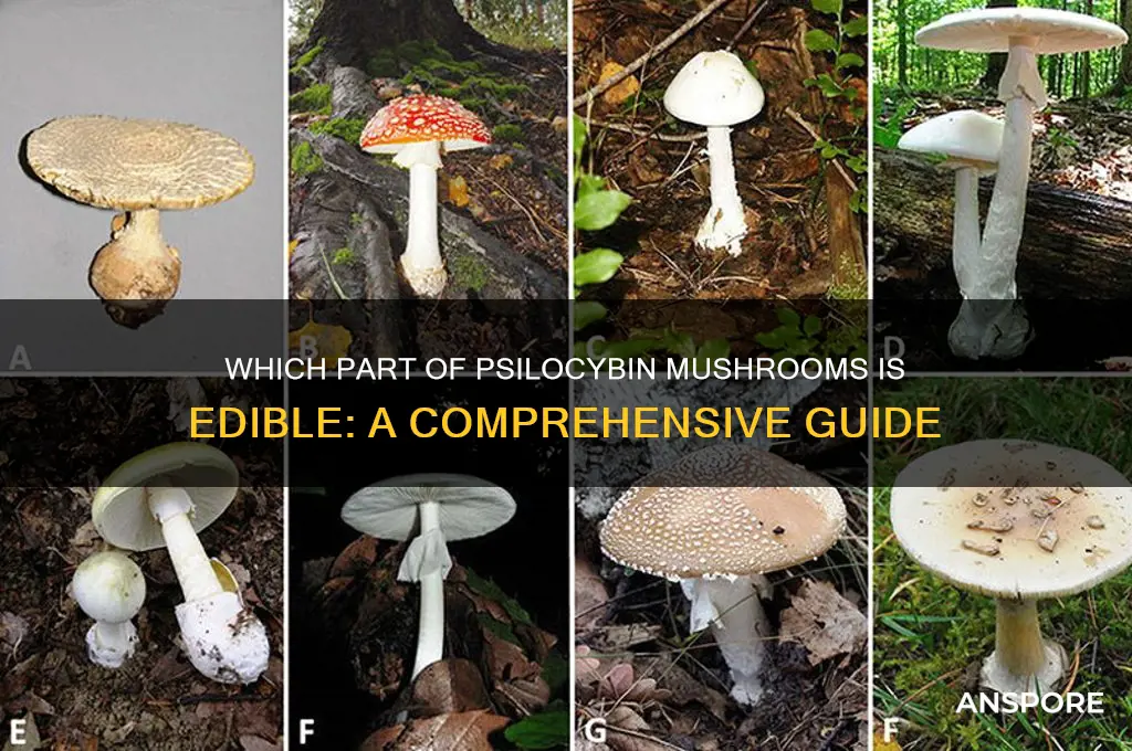 what part of psilocibin mushroom do you eat
