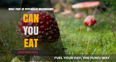 Edible Parts of Psychedelic Mushrooms: A Safe Consumption Guide