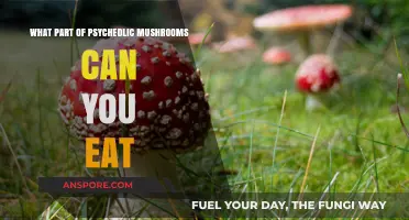 Edible Parts of Psychedelic Mushrooms: A Safe Consumption Guide