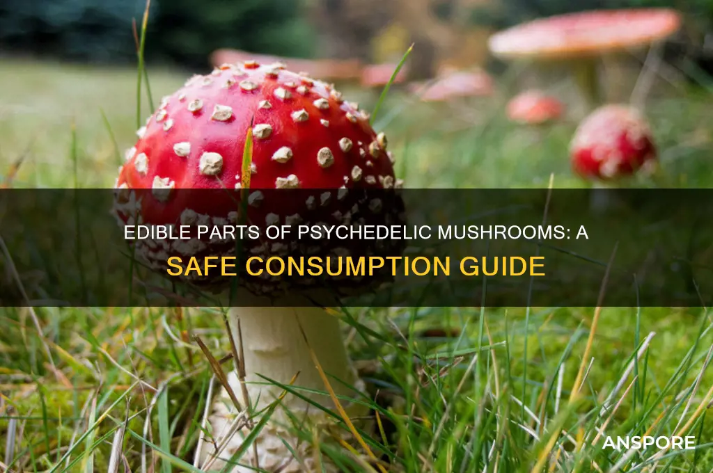 what part of psychedlic mushrooms can you eat