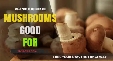 Mushrooms' Surprising Health Benefits: Targeting Key Body Parts Naturally