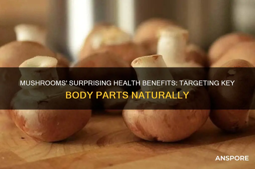 what part of the body are mushrooms good for