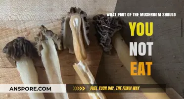 Avoid These Mushroom Parts: A Guide to Safe Consumption