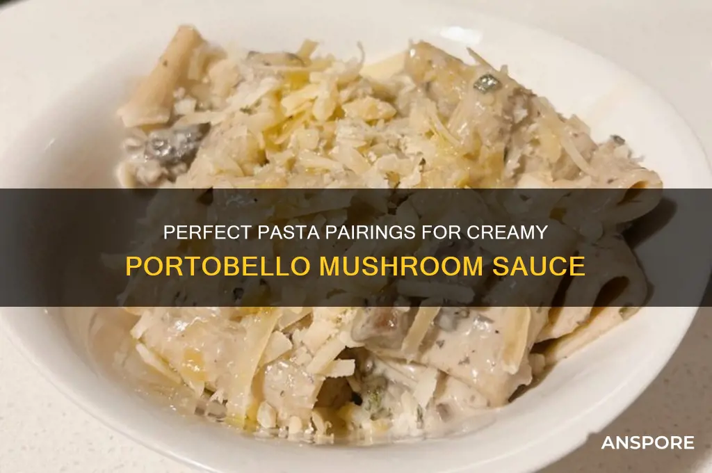 what pasta will go good with portabello mushroom sauce