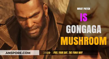 Gongaga Mushrooms: Patch Notes for the Ultimate Harvest