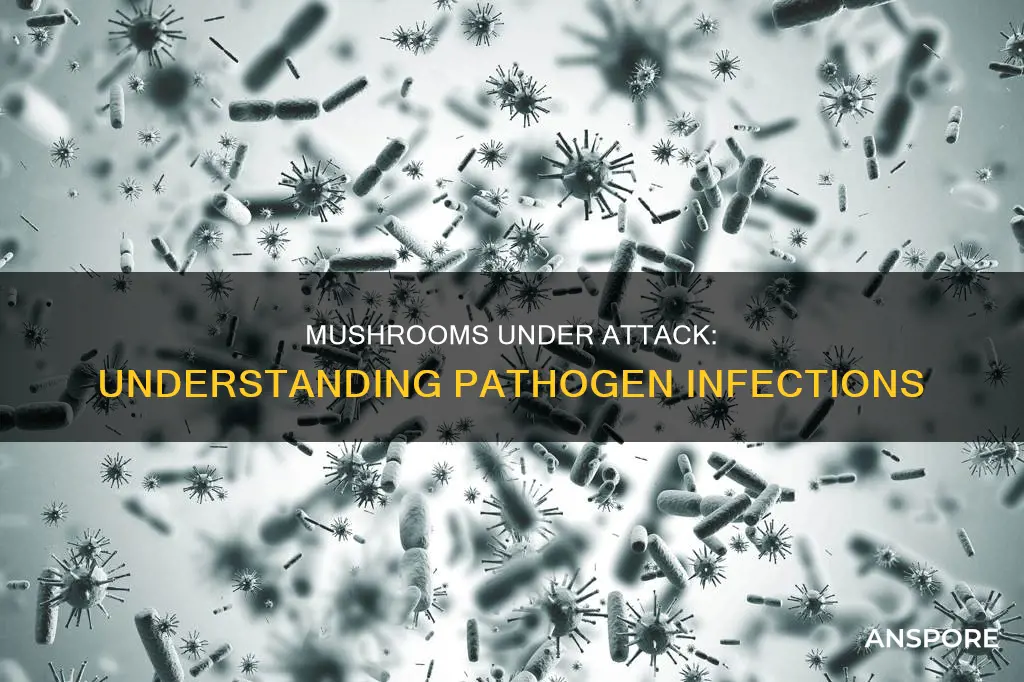 what pathogens infect mushrooms
