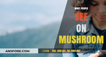 Mushroom Trips: Hallucinations and Visions