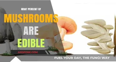 Exploring Edible Mushrooms: How Many Can You Safely Eat?