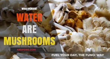 Mushrooms: Surprisingly Hydrated or Not?
