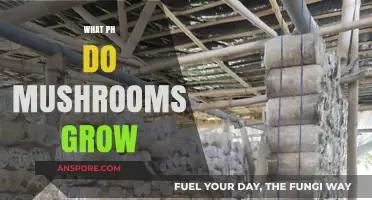 Optimal pH Levels for Mushroom Cultivation: A Comprehensive Guide