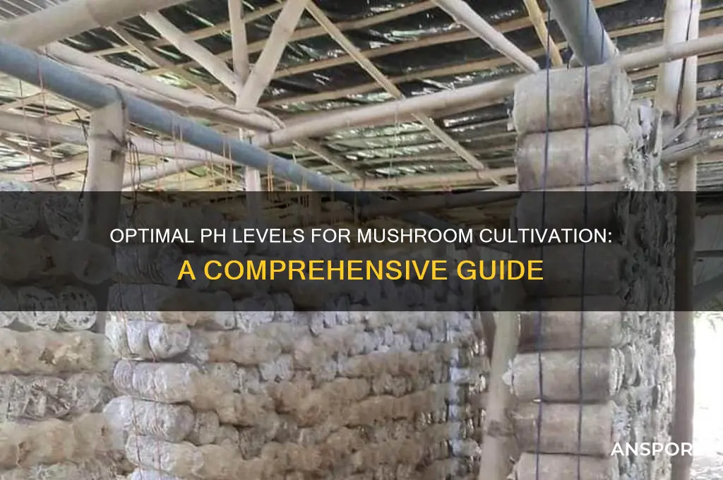 what ph do mushrooms grow