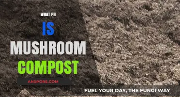 Mushroom Compost: Understanding its Alkaline Nature