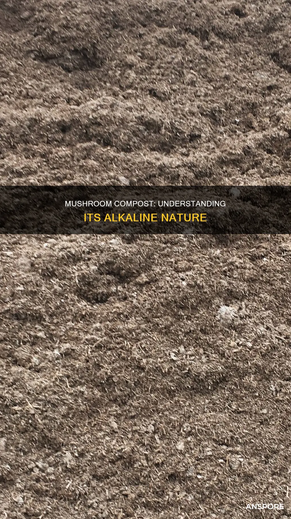 what ph is mushroom compost