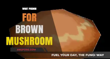 Brown Mushroom Mystery: Which Pikmin to Pick?