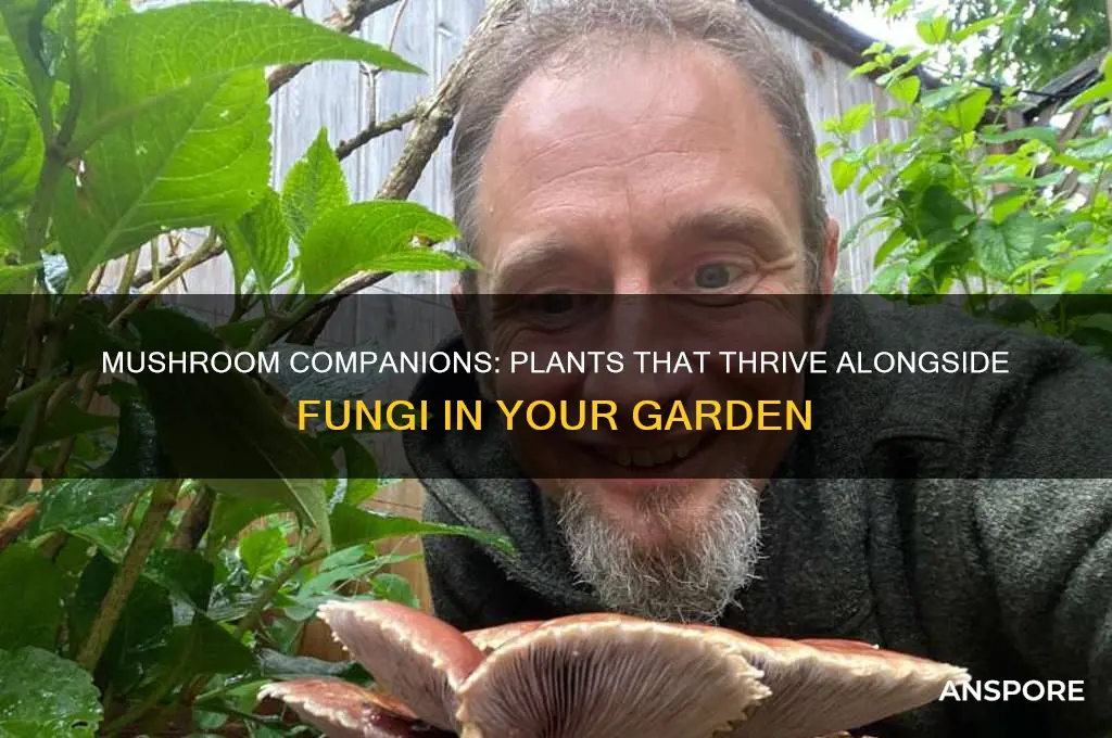 what plants can grow with mushrooms