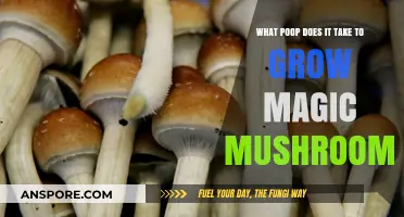 Unveiling the Surprising Poop Requirements for Growing Magic Mushrooms