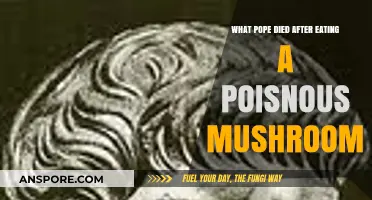 Deadly Mushroom: The Pope's Tragic Poisoning and Sudden Death