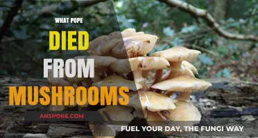 Pope's Death: The Mushroom Mystery