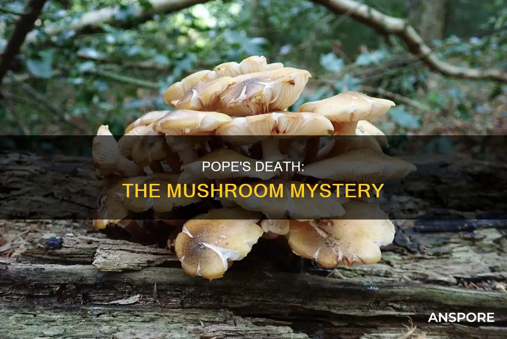 what pope died from mushrooms
