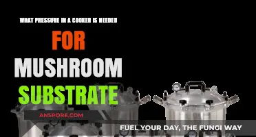 Optimal Cooker Pressure for Perfect Mushroom Substrate Preparation