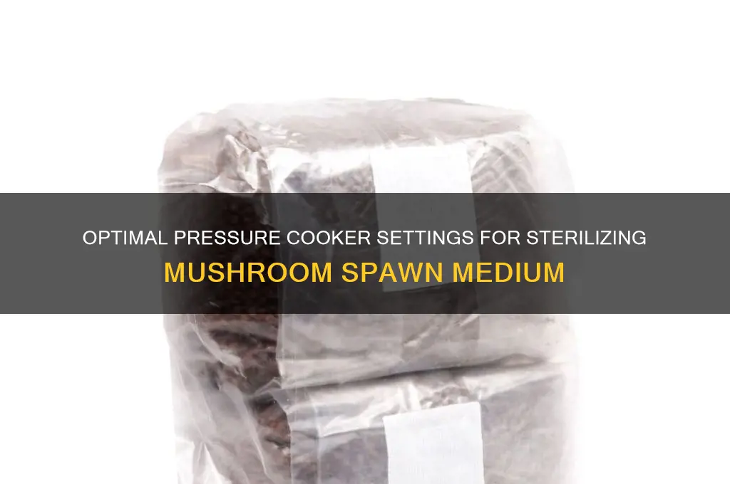 what pressure to sterilize mushroom spawn medium in pressure cooker