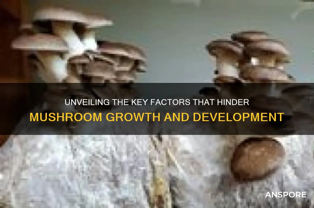 what prevents mushrooms from growing