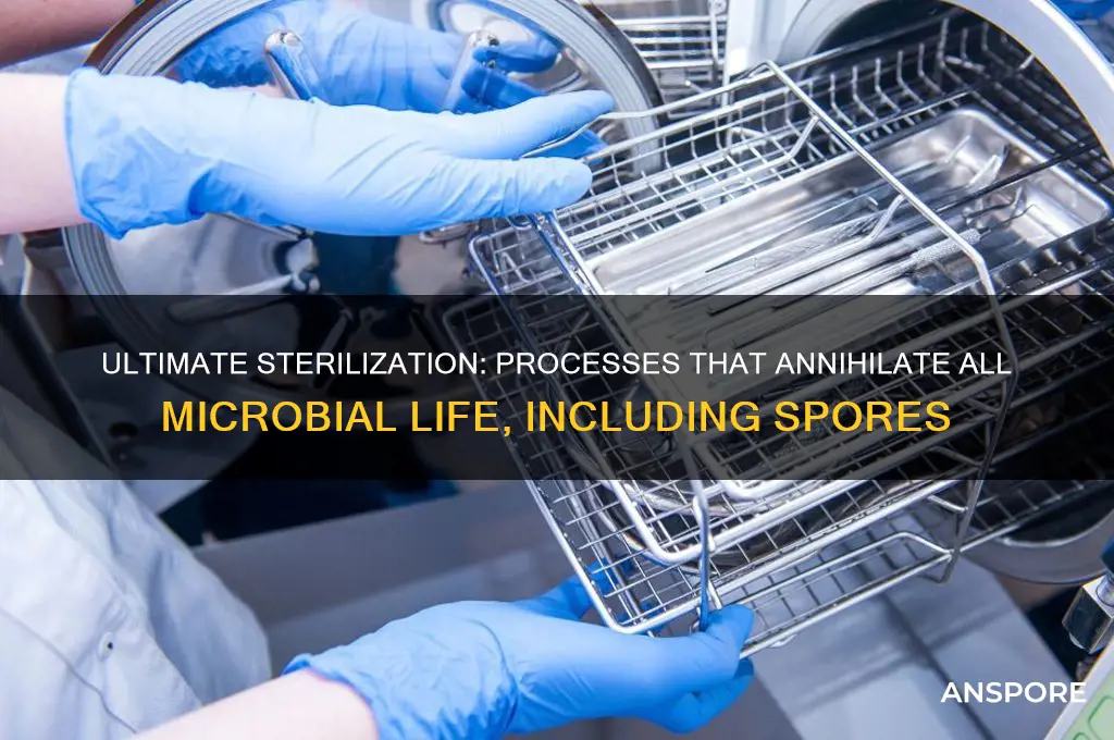 what process destroys all microbial life including spores