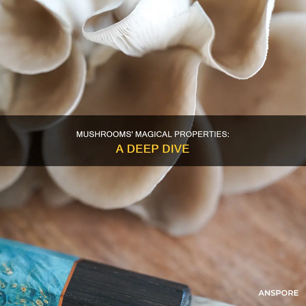 what properties do mushrooms have