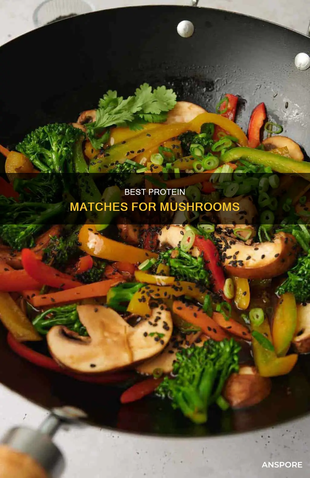 what protein goes with mushrooms