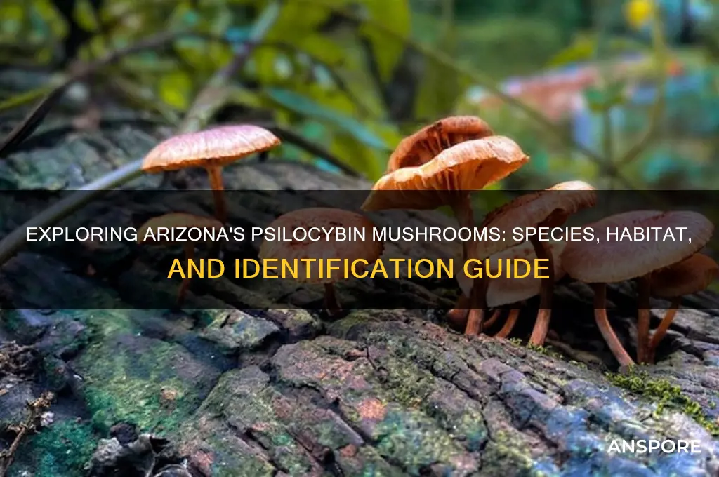 what psilocybin mushrooms grow in arizona