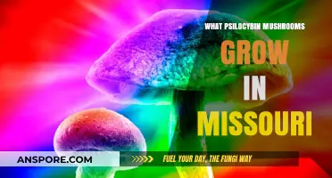 Missouri's Magic Mushrooms: A Guide to Psilocybin Species in the State