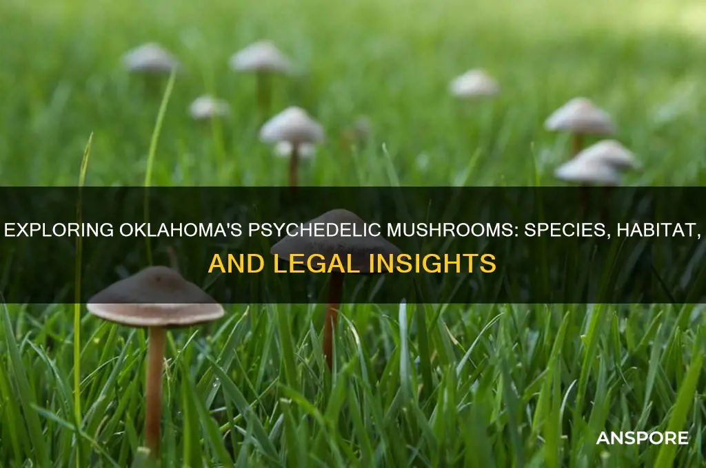 what psychedelic mushroom grows in oklahoma