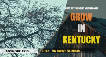 Exploring Kentucky's Psychedelic Mushrooms: A Guide to Native Species