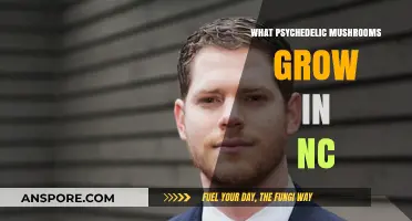 Exploring North Carolina's Psychedelic Mushrooms: Species, Habitat, and Identification