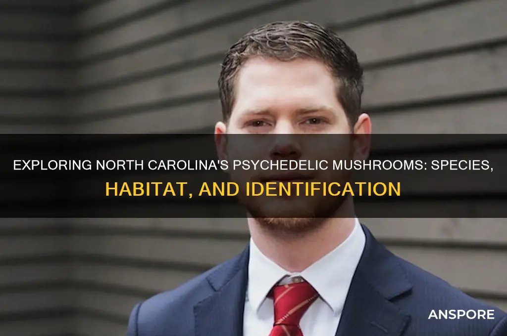 what psychedelic mushrooms grow in nc