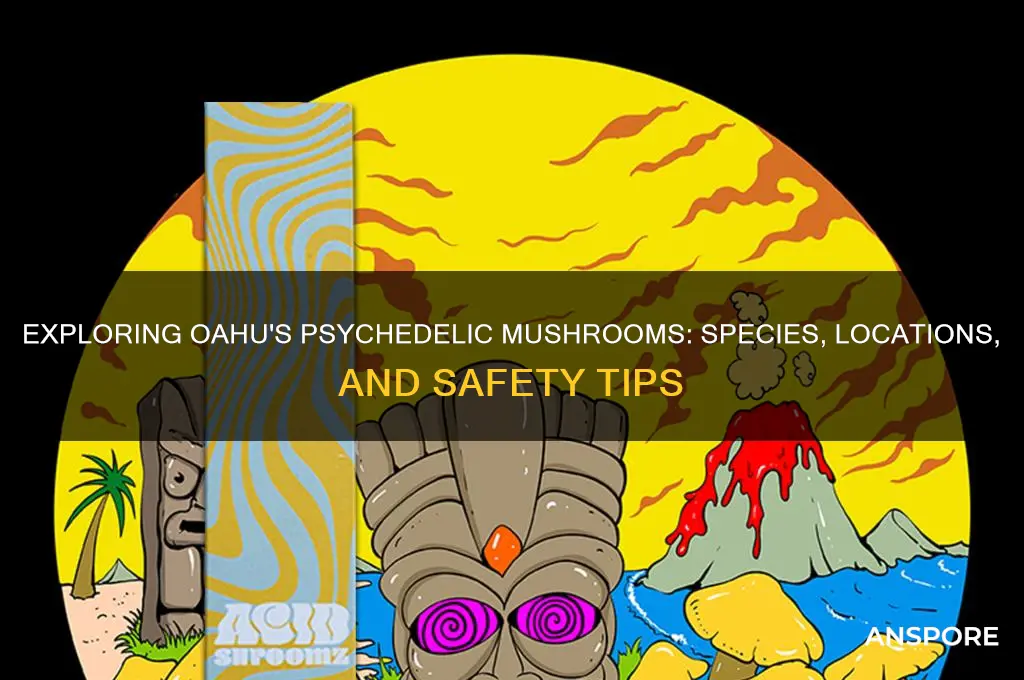 what psychedelic mushrooms grow on oahu