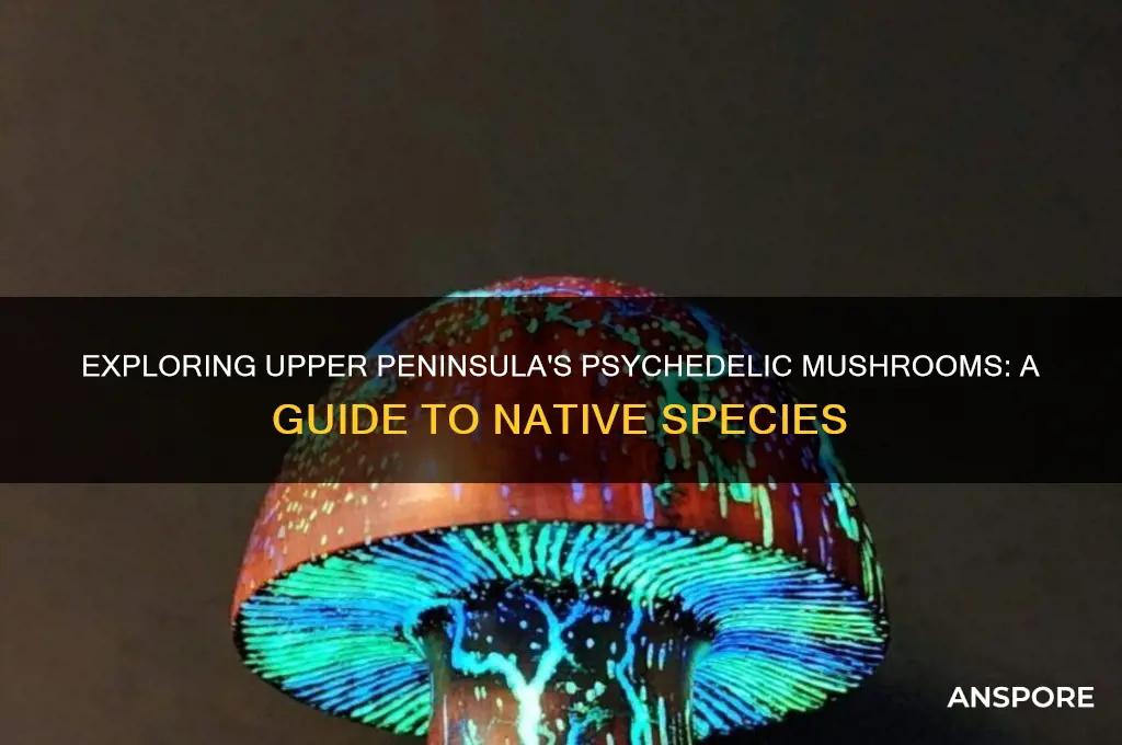 what psychedelic mushrooms grow on the upper peninsula