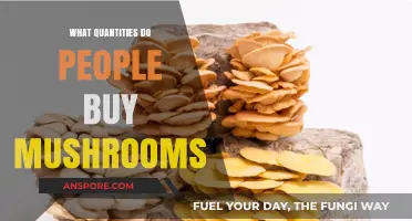 Understanding Mushroom Purchases: Popular Quantities Consumers Typically Buy