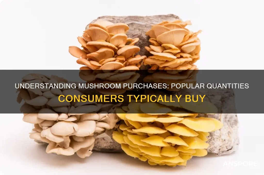 what quantities do people buy mushrooms